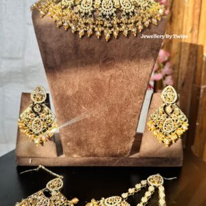 JBT Semi Bridal Pakistani Set With Passa and tikka